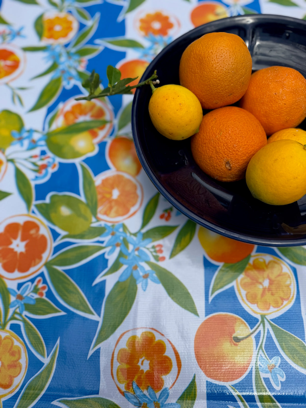 Blue and White Sevilla and Royal Blue Gingham Oilcloth Tablecloths - 84" x 56"