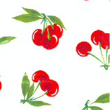 Oilcloth Checkbook Cover